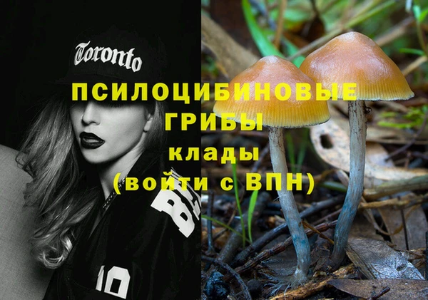 прущий лед Осташков