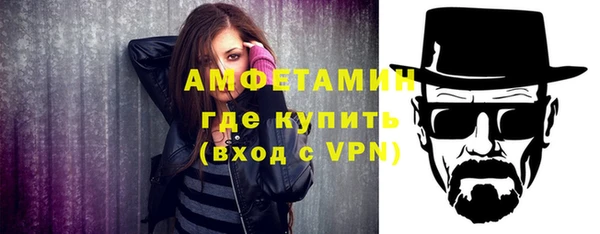 шишки Переславль-Залесский