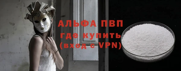 ECSTASY Пересвет