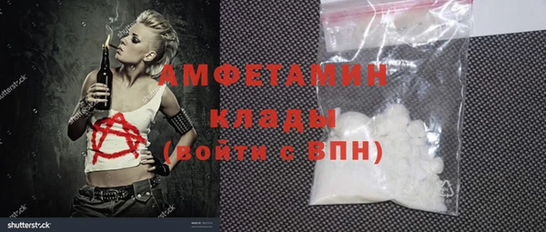шишки Переславль-Залесский