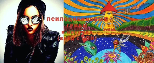 прущий лед Осташков