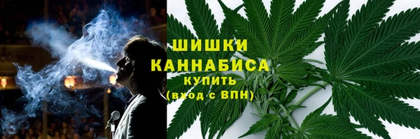 ECSTASY Пересвет
