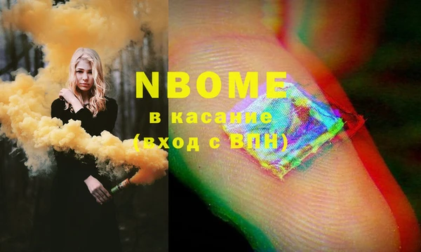 ECSTASY Пересвет