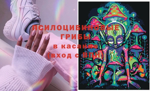 прущая мука Пестово