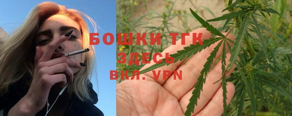 шишки Переславль-Залесский