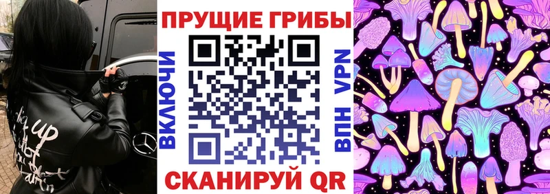 Псилоцибиновые грибы прущие грибы Слюдянка