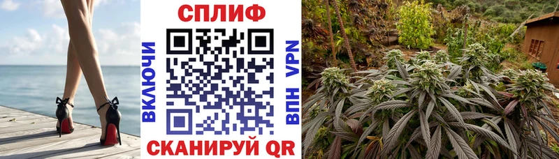 Бошки Шишки индика Слюдянка